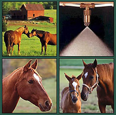 Eco Friendly Flying Insect Control Systems
